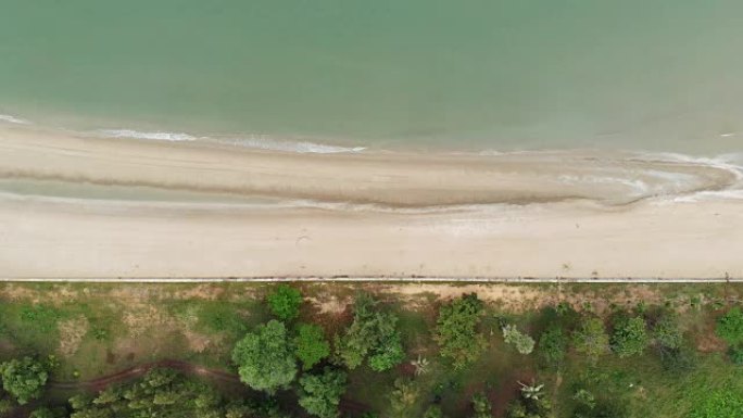 4k海滩和树的俯视图。