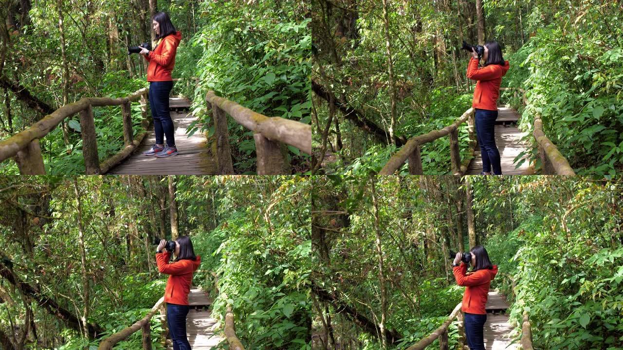 女摄影师在国家公园自然步道野外拍摄自然照片