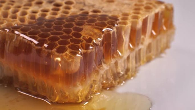 Honey poring on honey comb