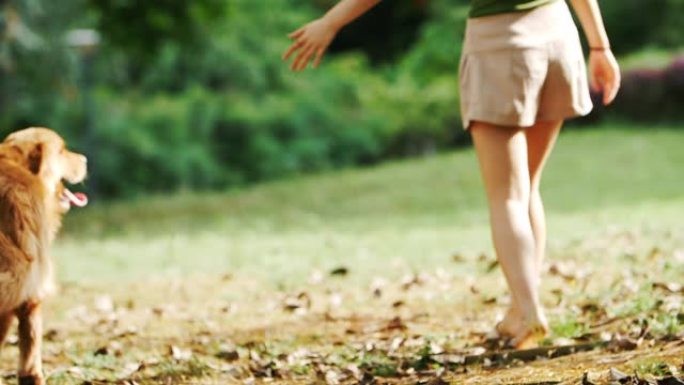 年轻女子带着她的狗在户外散步