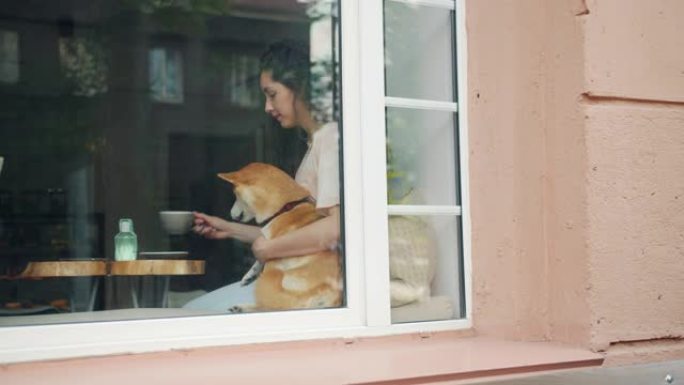 美女在咖啡馆喝茶拥抱可爱的柴犬