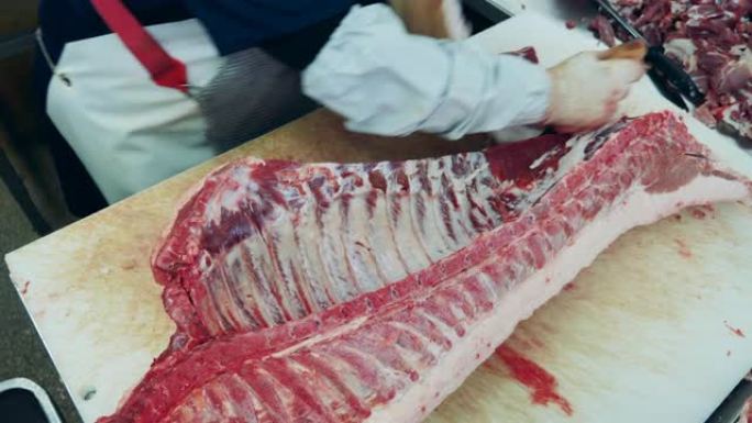 一大块带有肋骨的肉正在工厂中切掉。食品生产、肉类、猪肉加工厂。