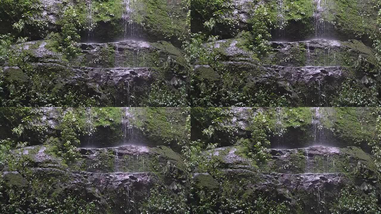 4k，雨林中的特写瀑布。