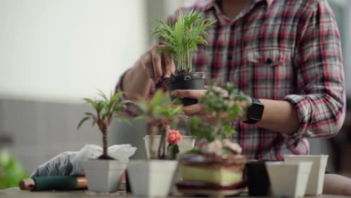 亚洲男子在花园里种花