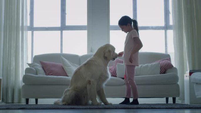 小女孩在客厅里玩耍和拥抱她的狗的慢动作。
