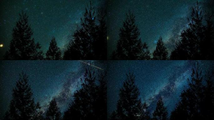 夜间松树上方的银河