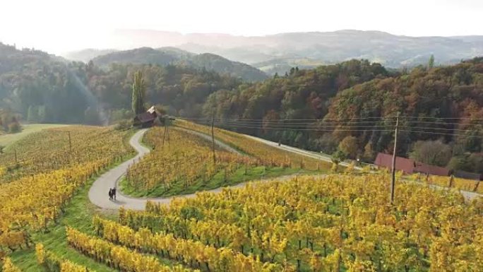 空中情侣在心形道路上行走