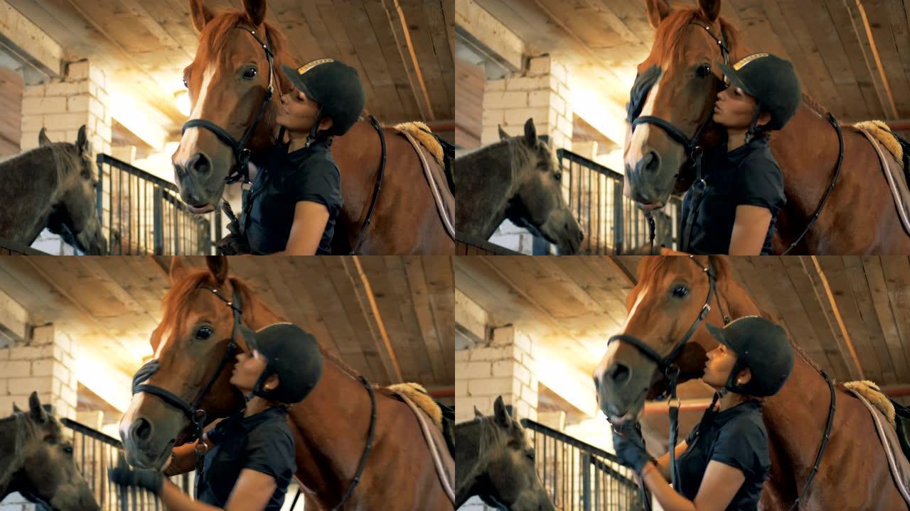女人和她的马说话，特写。比赛前，运动员在马stable里与马交谈。
