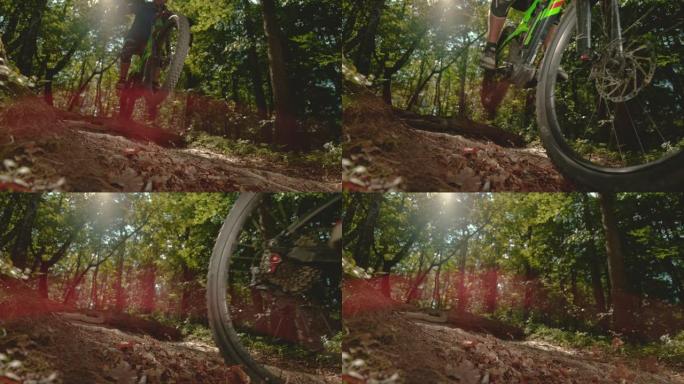 镜头耀斑: 一名男子骑着电动自行车穿过阳光普照的树林的酷炫镜头。