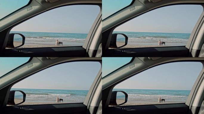 女士在意大利普利亚 (Apulia) 车外阳光明媚的海滩上与狗在一起的女人