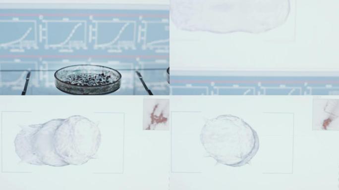 科学实验室。电脑屏幕上的病毒。