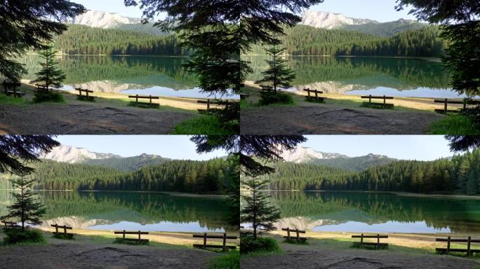 黑湖，Durmitor国家公园，黑山。早晨可以欣赏到湖泊，松树林，杜米托山 (迪纳里克阿尔卑斯山)。
