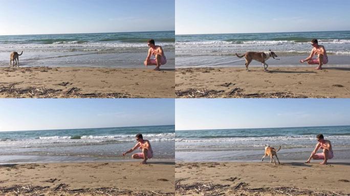 男人和狗女士在意大利普利亚阳光明媚的海滩上玩耍