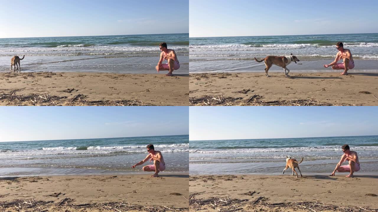 男人和狗女士在意大利普利亚阳光明媚的海滩上玩耍