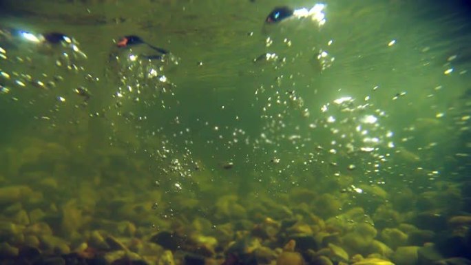 水下风景。绿色的水和气泡