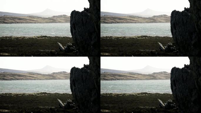 福克兰群岛的岩石海岸。