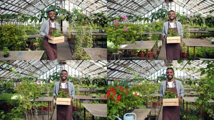 穿着围裙的非裔美国农民在温室里盛装植物的盒子里行走