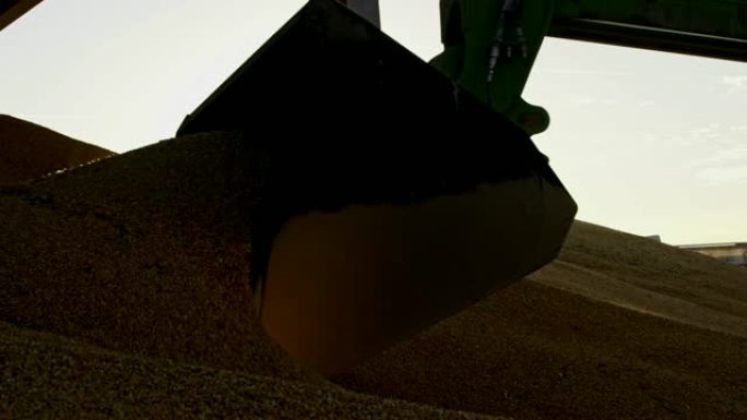 LS装载机挖掘机在储存设施中移动玉米