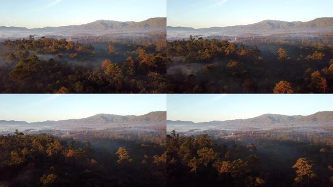 空中拍摄热带雨林和薄雾与山