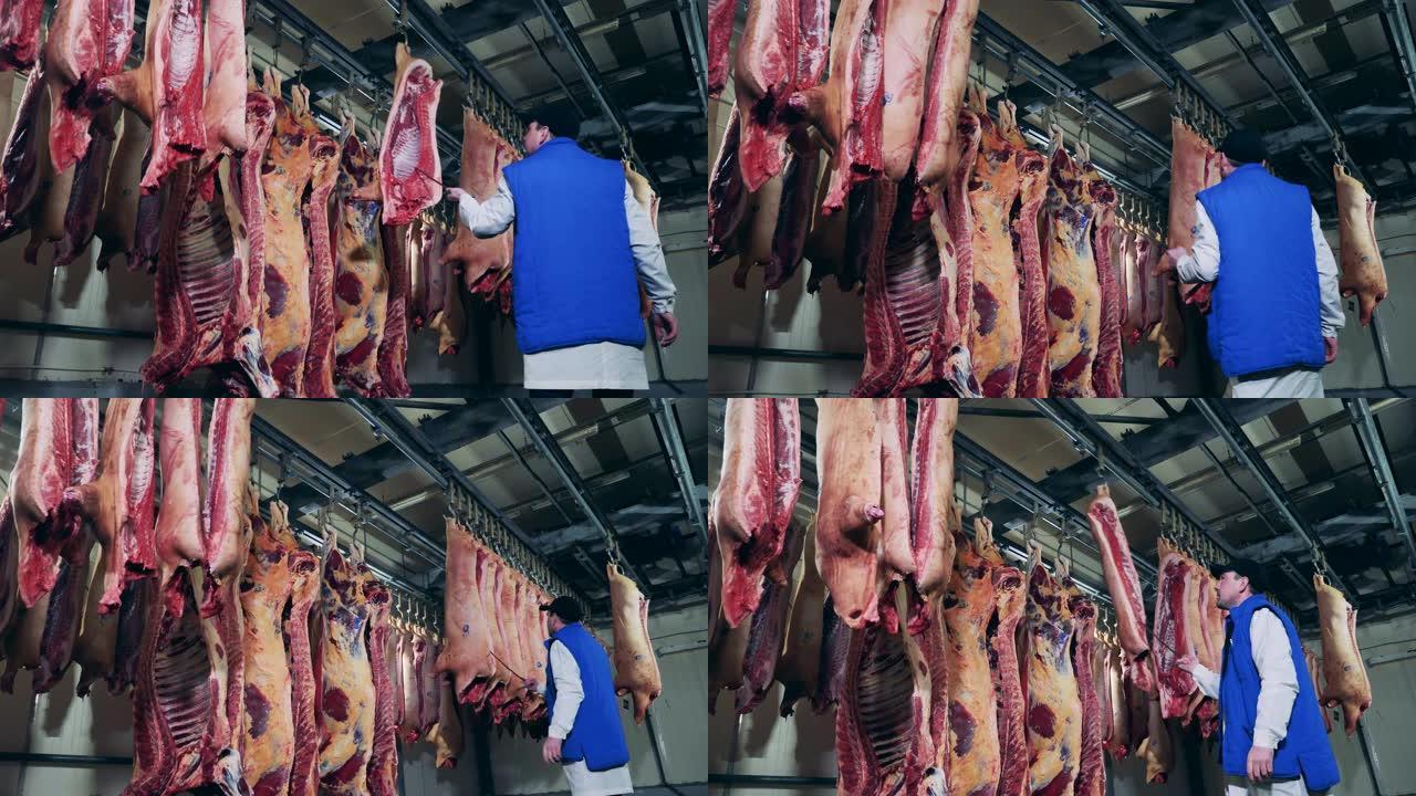 食品生产、肉类、猪肉加工厂。屠夫正在用钩子将肉转移到冷冻装置中