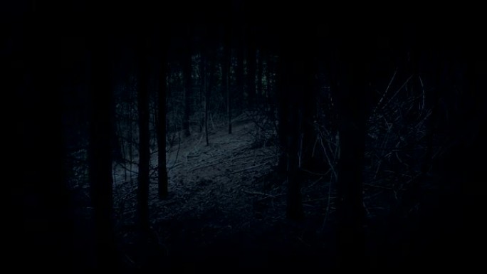 穿过树林中的黑暗通道