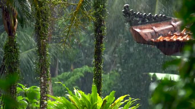 热带雨的慢动作镜头。印度尼西亚巴厘岛。