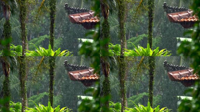 热带雨的慢动作镜头。印度尼西亚巴厘岛。