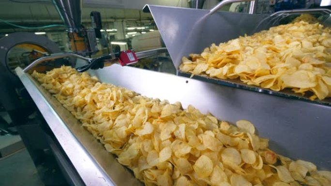 现代工厂输送机可以移动许多薯片。