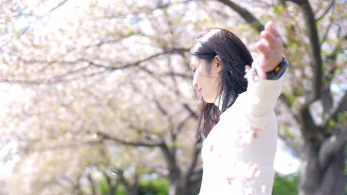 日本春天的樱花与女人和花瓣