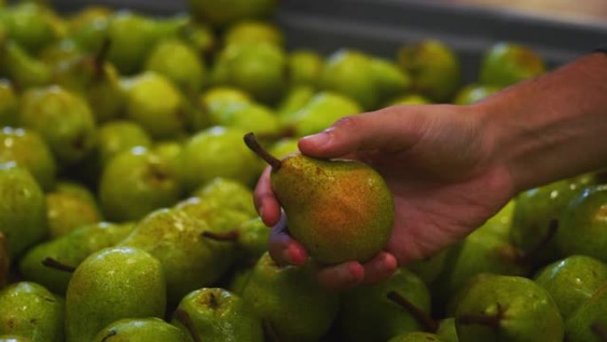 在水果包装和生产工厂中，工人的手正在控制高质量的生态和生物梨