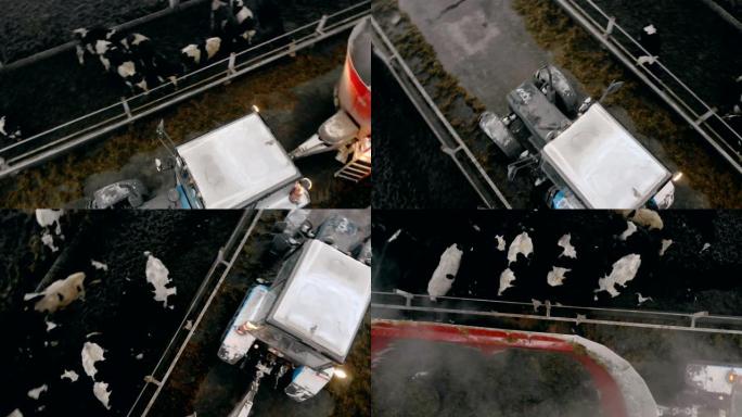 人开着拖拉机，在谷仓里喂牛，俯视图。