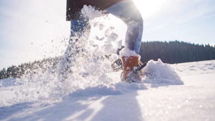 在美丽的晴天，冬季徒步旅行和雪鞋行走