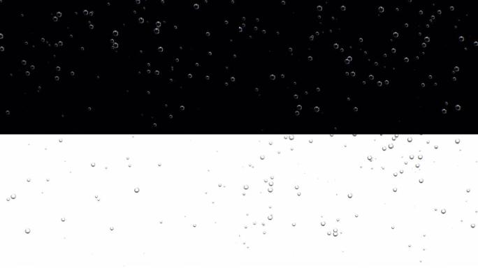 水中的二氧化碳气泡在黑白背景上上升。慢动作3d动画特写苏打水，起泡酒，啤酒，玻璃杯中的香槟。