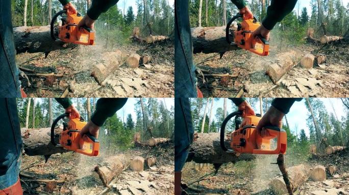 一个人正在用电锯砍一棵倒下的树