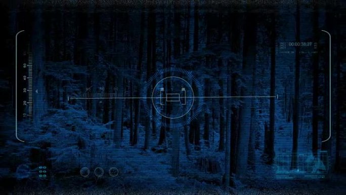 夜间在森林中的无人机视点