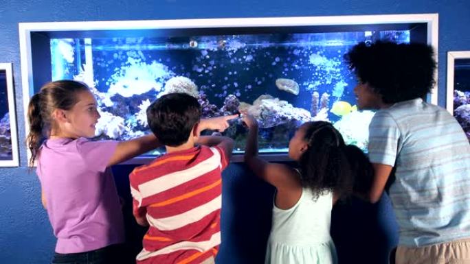 水族馆的孩子们对盐水鱼缸着迷