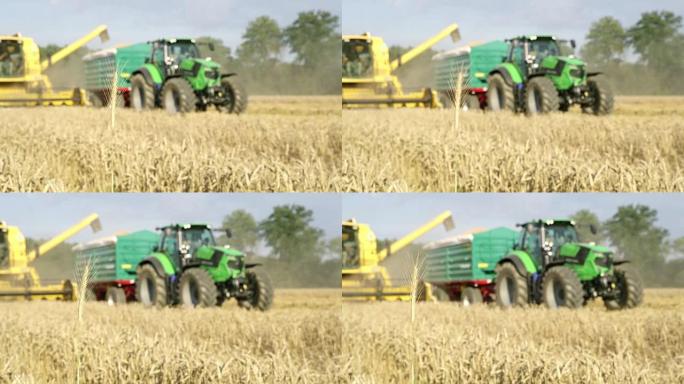 LS联合收割机和拖拉机在田间收割小麦
