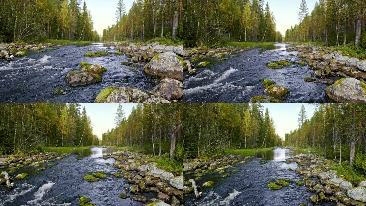 芬兰奥兰卡国家公园。小河，溪流在北欧树木之间的森林中流动。Steadicam shot, UHD