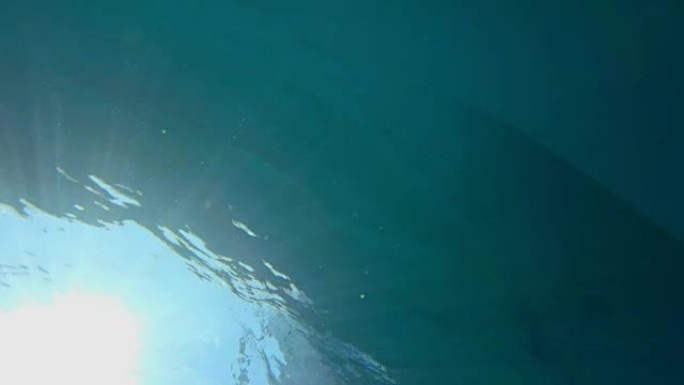 水下的阳光野生动物蓝色海