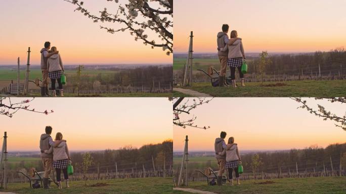 WS深情的夫妇种植果树，在日落时享受宁静、田园诗般的乡村景色