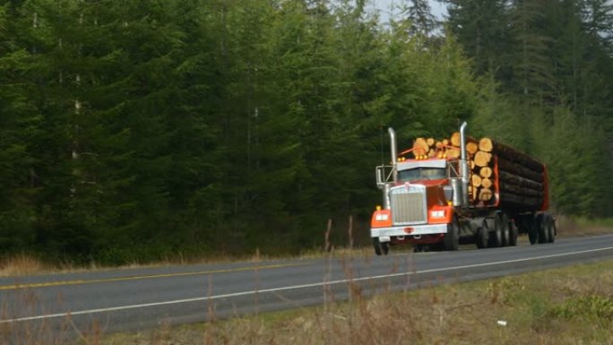 Big rig在穿越奥林匹克国家森林的高速公路上运输原木