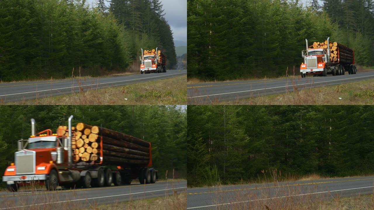 Big rig在穿越奥林匹克国家森林的高速公路上运输原木