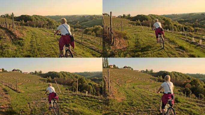 TS女人骑自行车穿过葡萄园