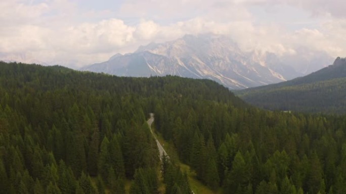 WS鸟瞰图森林树梢和雄伟的山脉景观，多洛米蒂，意大利