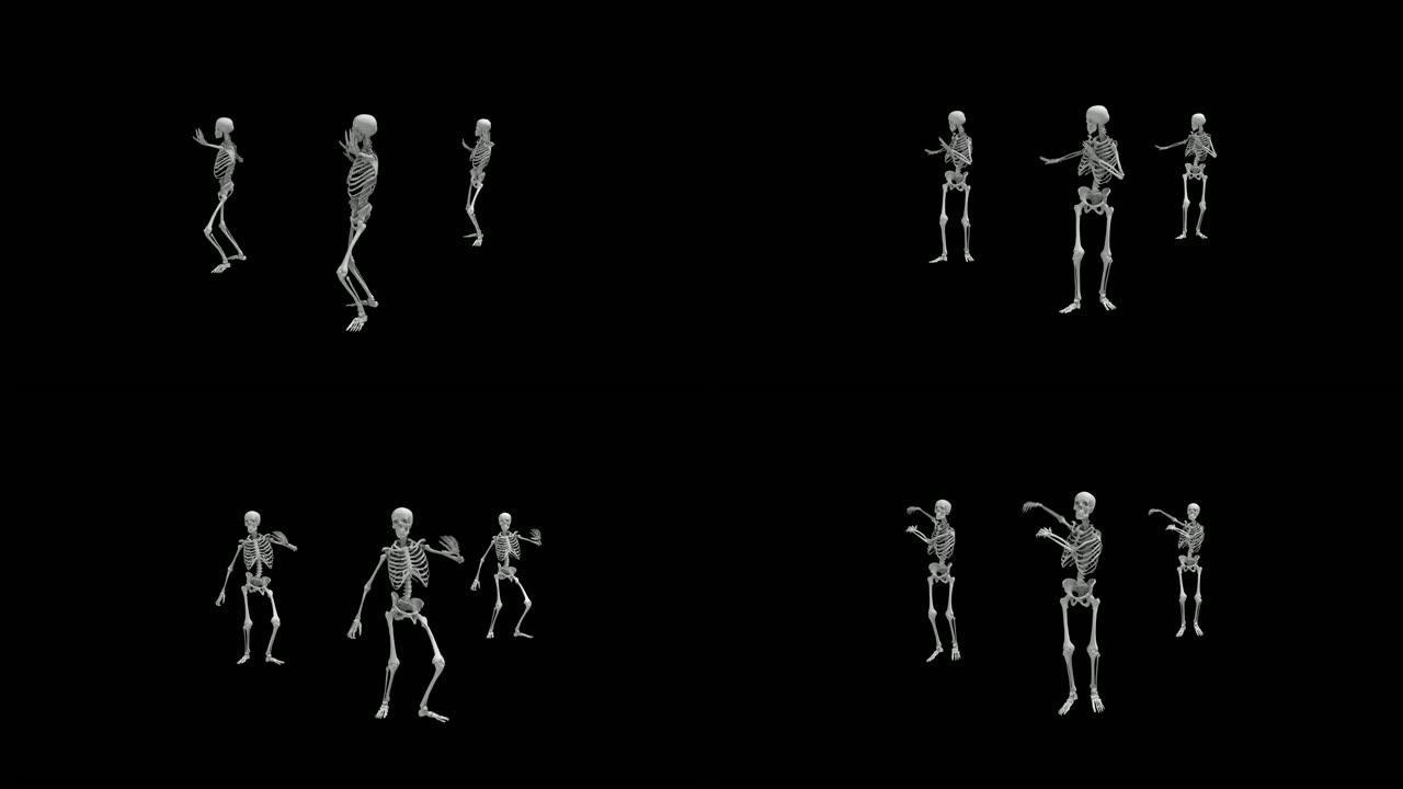 三个舞蹈骨架在孤立的黑色背景与反光地板，无缝循环动画