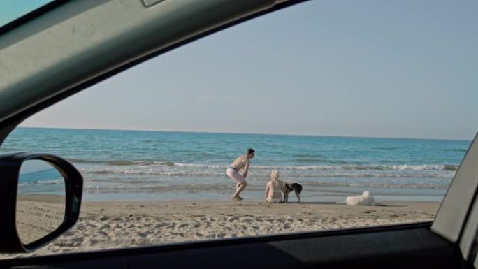 女士在车外阳光明媚的海滩上与狗的情侣