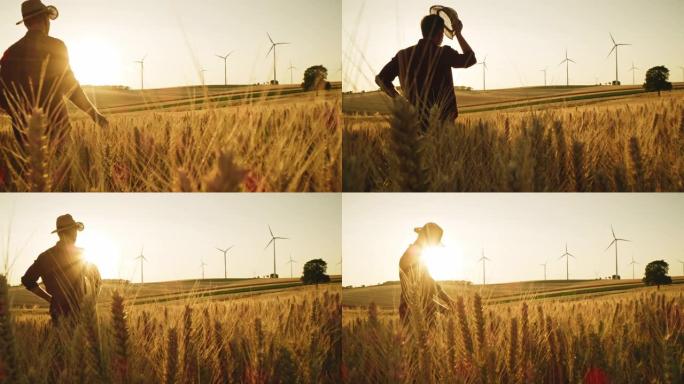 一个农民在麦田里散步，周围都是风力涡轮机