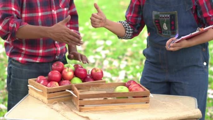 慢动作: 农民握手交易苹果。