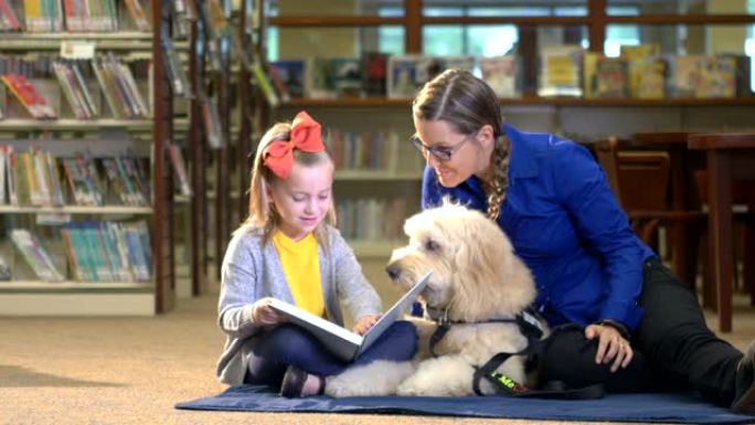 女孩在图书馆与治疗犬一起阅读