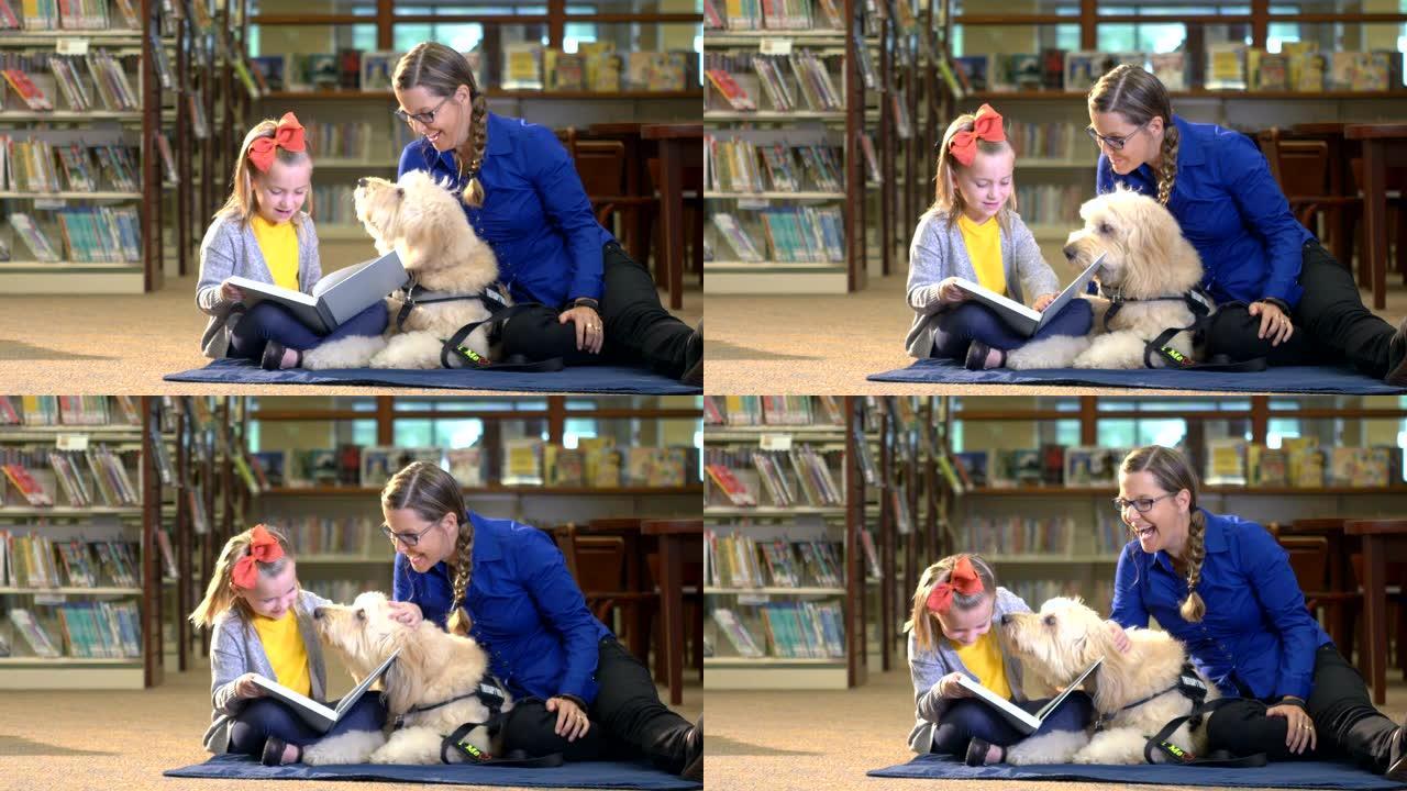 女孩在图书馆与治疗犬一起阅读